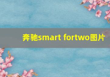 奔驰smart fortwo图片